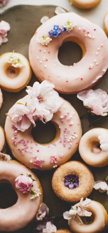 donut, sweetness Wallpaper 1242x2688