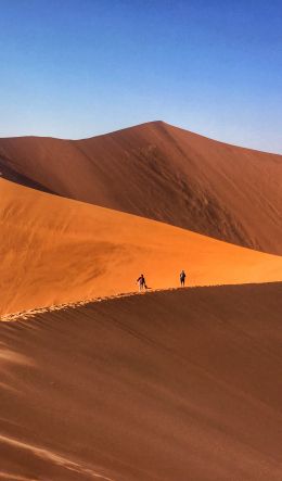 desert landscape, dunes Wallpaper 600x1024