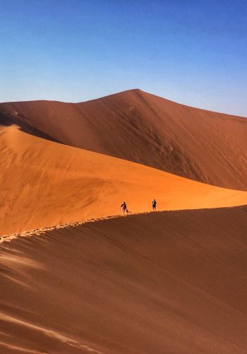 desert landscape, dunes Wallpaper 1668x2388