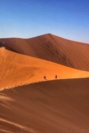 desert landscape, dunes Wallpaper 640x960