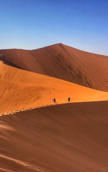 Обои 800x1280 пустынный пейзаж, дюны