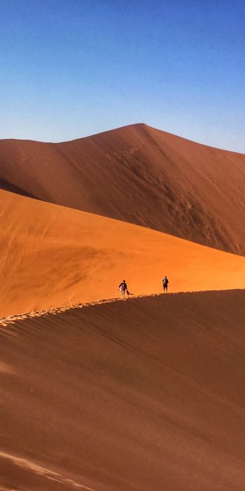 desert landscape, dunes Wallpaper 720x1440