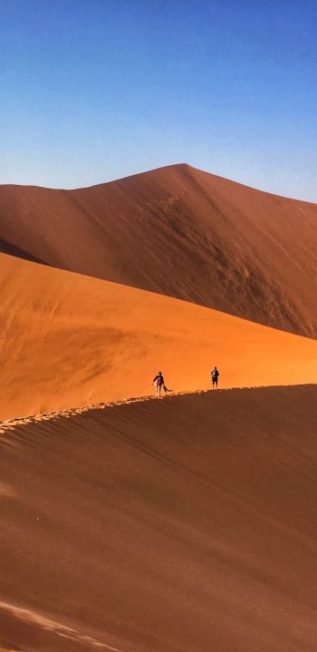 desert landscape, dunes Wallpaper 1440x2960
