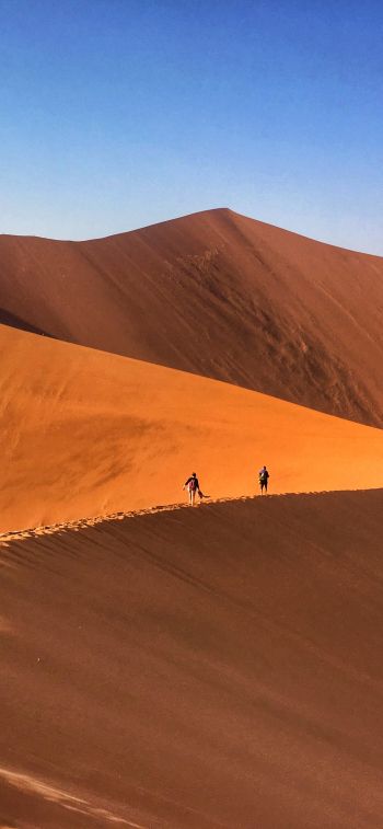 desert landscape, dunes Wallpaper 1284x2778