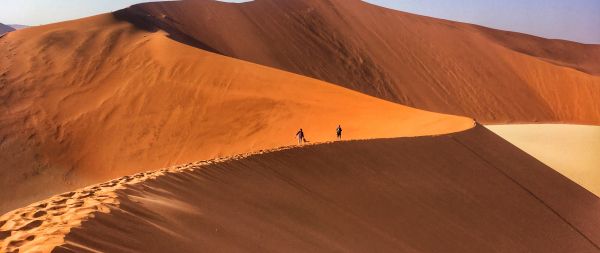 desert landscape, dunes Wallpaper 2560x1080