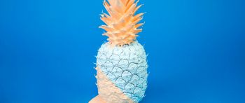 pineapple, paint, blue Wallpaper 2560x1080