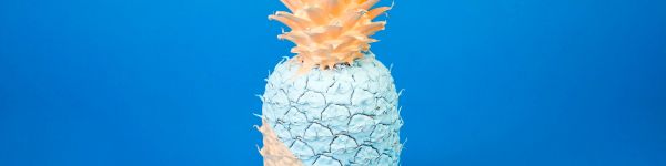 pineapple, paint, blue Wallpaper 1590x400