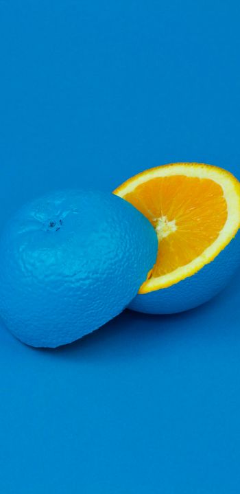 Обои 1440x2960 апельсин, синий, краска