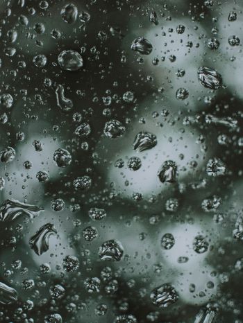 water droplets, rain Wallpaper 2048x2732