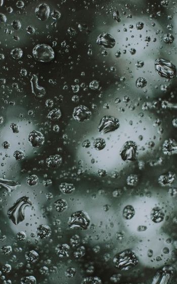 water droplets, rain Wallpaper 1600x2560