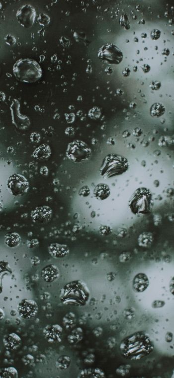 water droplets, rain Wallpaper 1242x2688