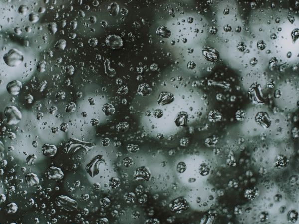 water droplets, rain Wallpaper 800x600