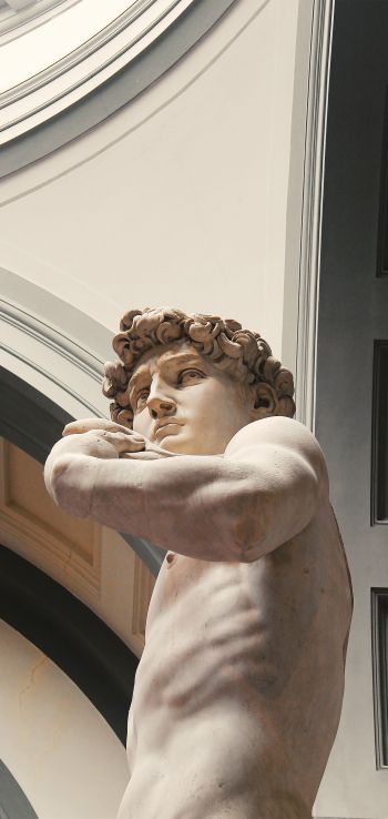 Обои 1440x3040 Давид, скульптура