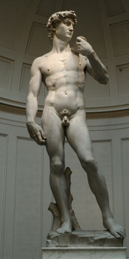 David, sculpture, man Wallpaper 720x1440