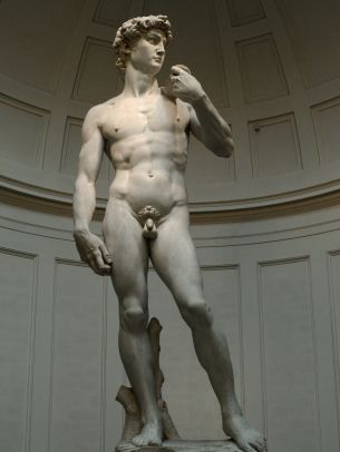 Обои 1668x2224 Давид, скульптура, человек