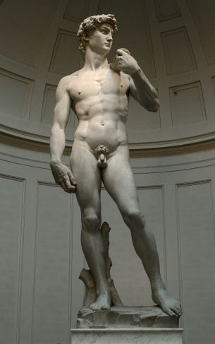 David, sculpture, man Wallpaper 1752x2800