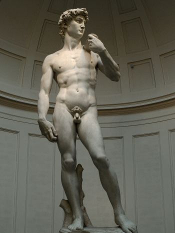 David, sculpture, man Wallpaper 1536x2048