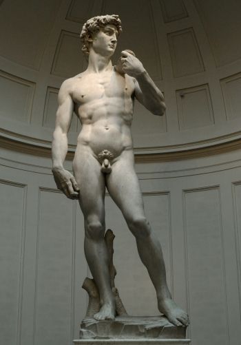 David, sculpture, man Wallpaper 1668x2388