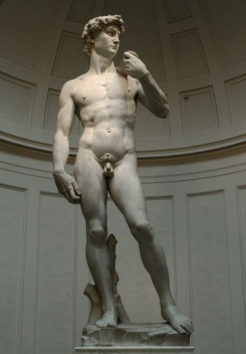 David, sculpture, man Wallpaper 1640x2360