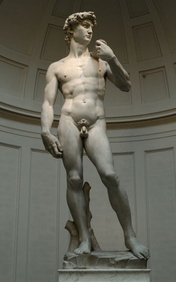 Обои 1600x2560 Давид, скульптура, человек