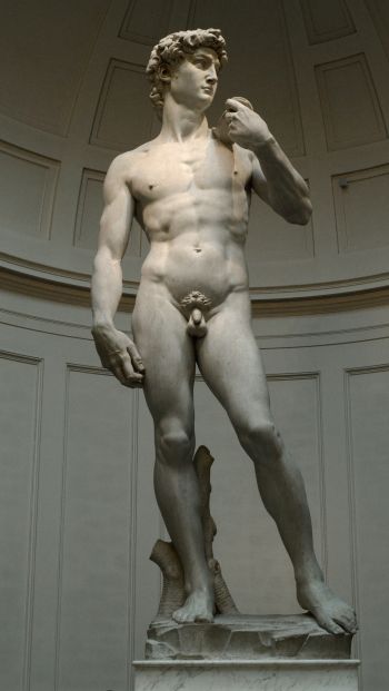 David, sculpture, man Wallpaper 640x1136