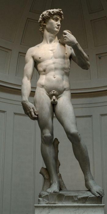 Обои 720x1440 Давид, скульптура, человек