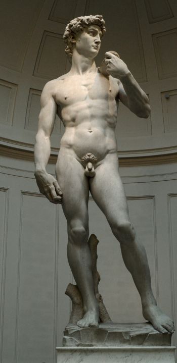 David, sculpture, man Wallpaper 1440x2960