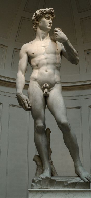 Обои 828x1792 Давид, скульптура, человек