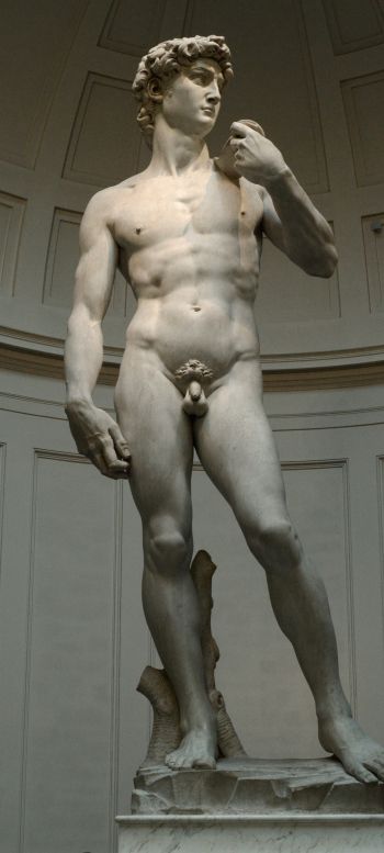 Обои 720x1600 Давид, скульптура, человек