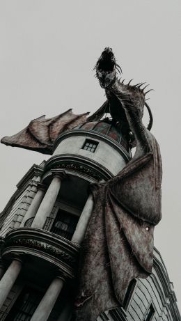 dragon, harry potter Wallpaper 640x1136