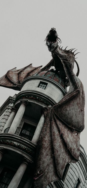Обои 828x1792 дракон, Гарри Поттер