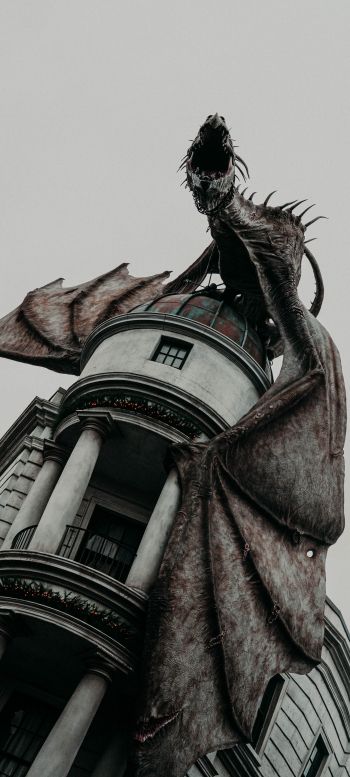 dragon, harry potter Wallpaper 1440x3200