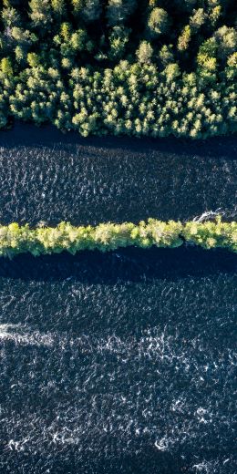 forest, river, bird's eye view Wallpaper 720x1440