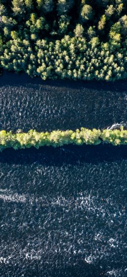 forest, river, bird's eye view Wallpaper 1080x2340