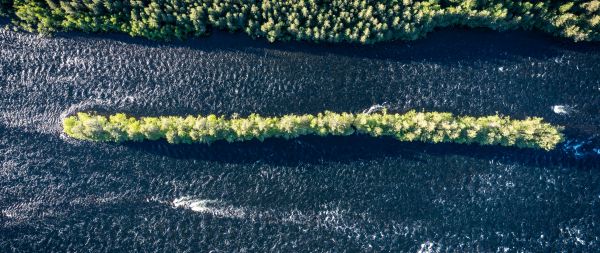 forest, river, bird's eye view Wallpaper 2560x1080