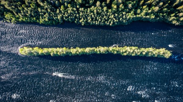 forest, river, bird's eye view Wallpaper 2048x1152