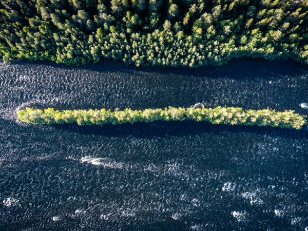 forest, river, bird's eye view Wallpaper 800x600