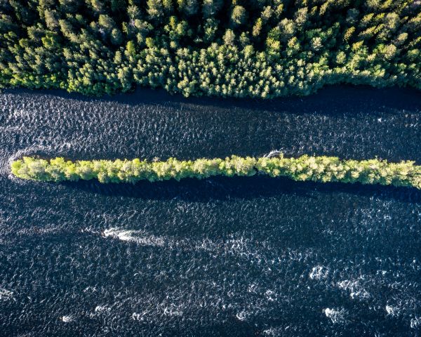 forest, river, bird's eye view Wallpaper 1280x1024