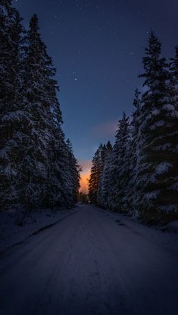 winter road, night Wallpaper 640x1136