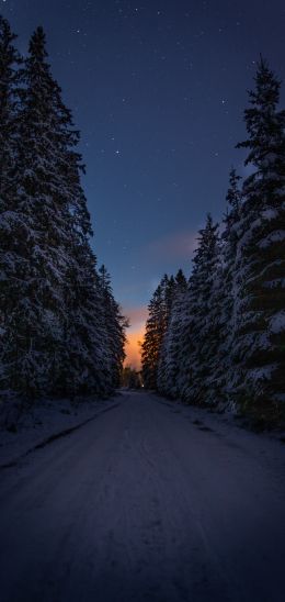 winter road, night Wallpaper 1080x2280