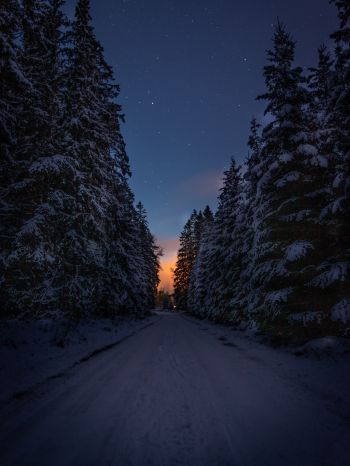 winter road, night Wallpaper 1668x2224