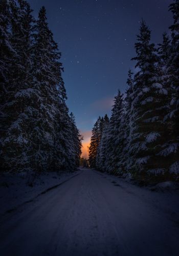 Обои 1668x2388 зимняя дорога, ночь