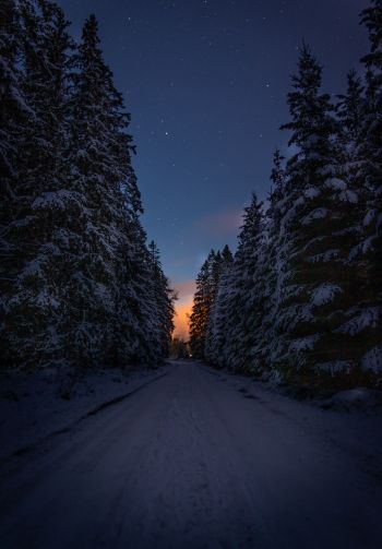 winter road, night Wallpaper 1640x2360