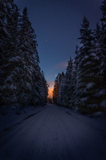 Обои 640x960 зимняя дорога, ночь