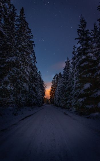 Обои 1600x2560 зимняя дорога, ночь