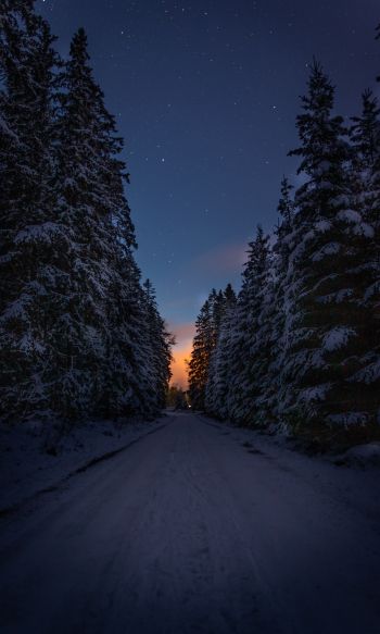 winter road, night Wallpaper 1200x2000