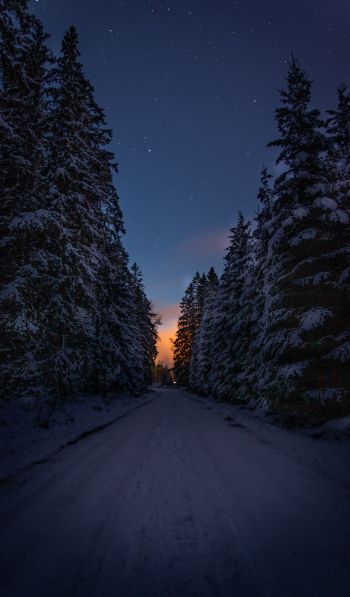 winter road, night Wallpaper 600x1024