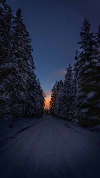 Обои 640x1136 зимняя дорога, ночь