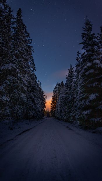 Обои 750x1334 зимняя дорога, ночь