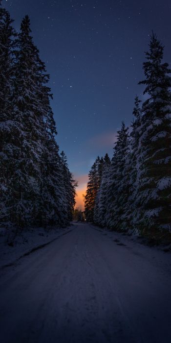 winter road, night Wallpaper 720x1440